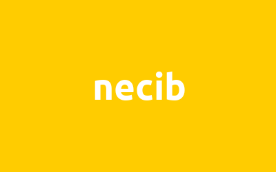 necib isminin analizi
